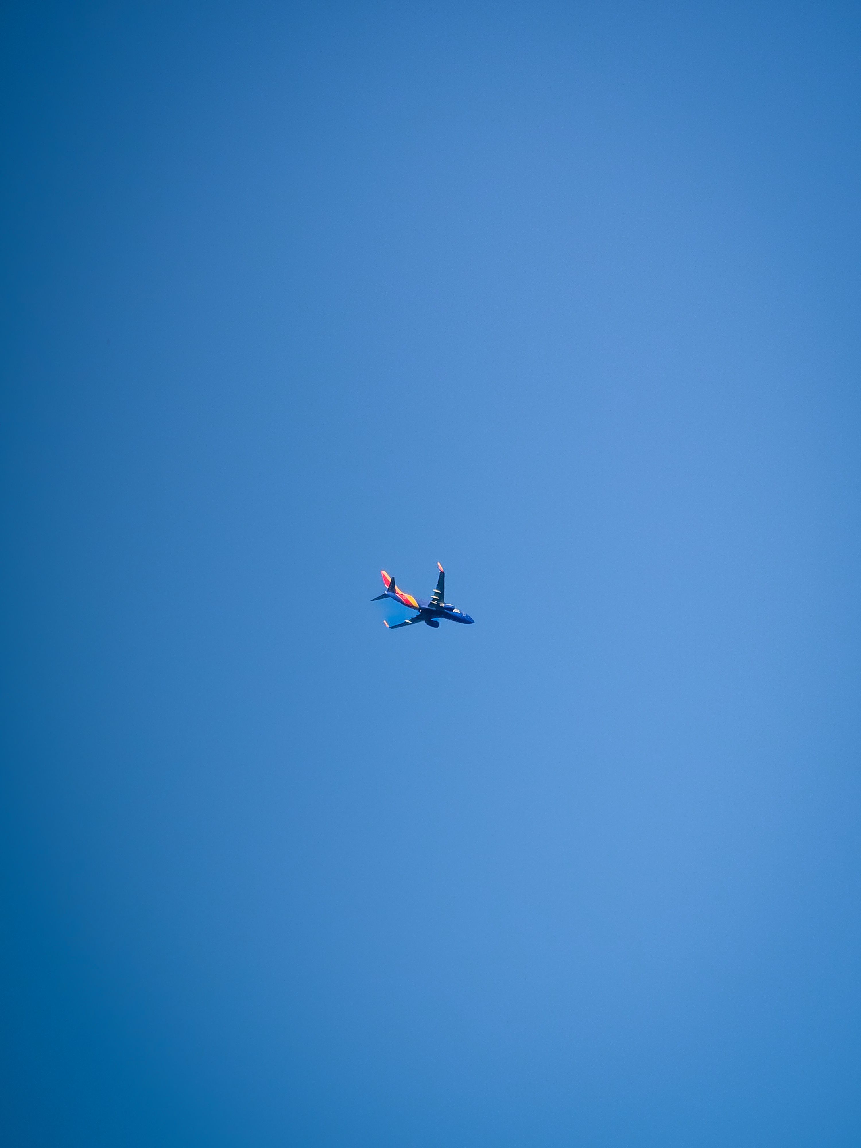A plane flying in the blue sky · Free Stock Photo