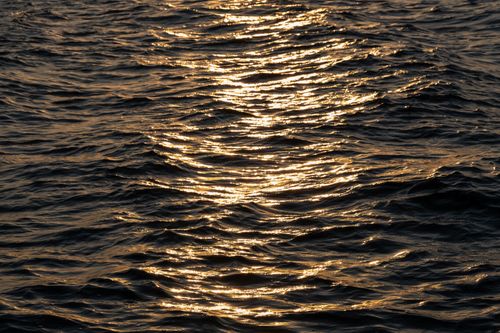 Free Warm golden light reflecting on tranquil ocean waves during sunset, creating a serene and peaceful mood. Stock Photo