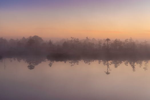 Tranquil sunrise over an Estonian bog with misty reflections and soft gradients.