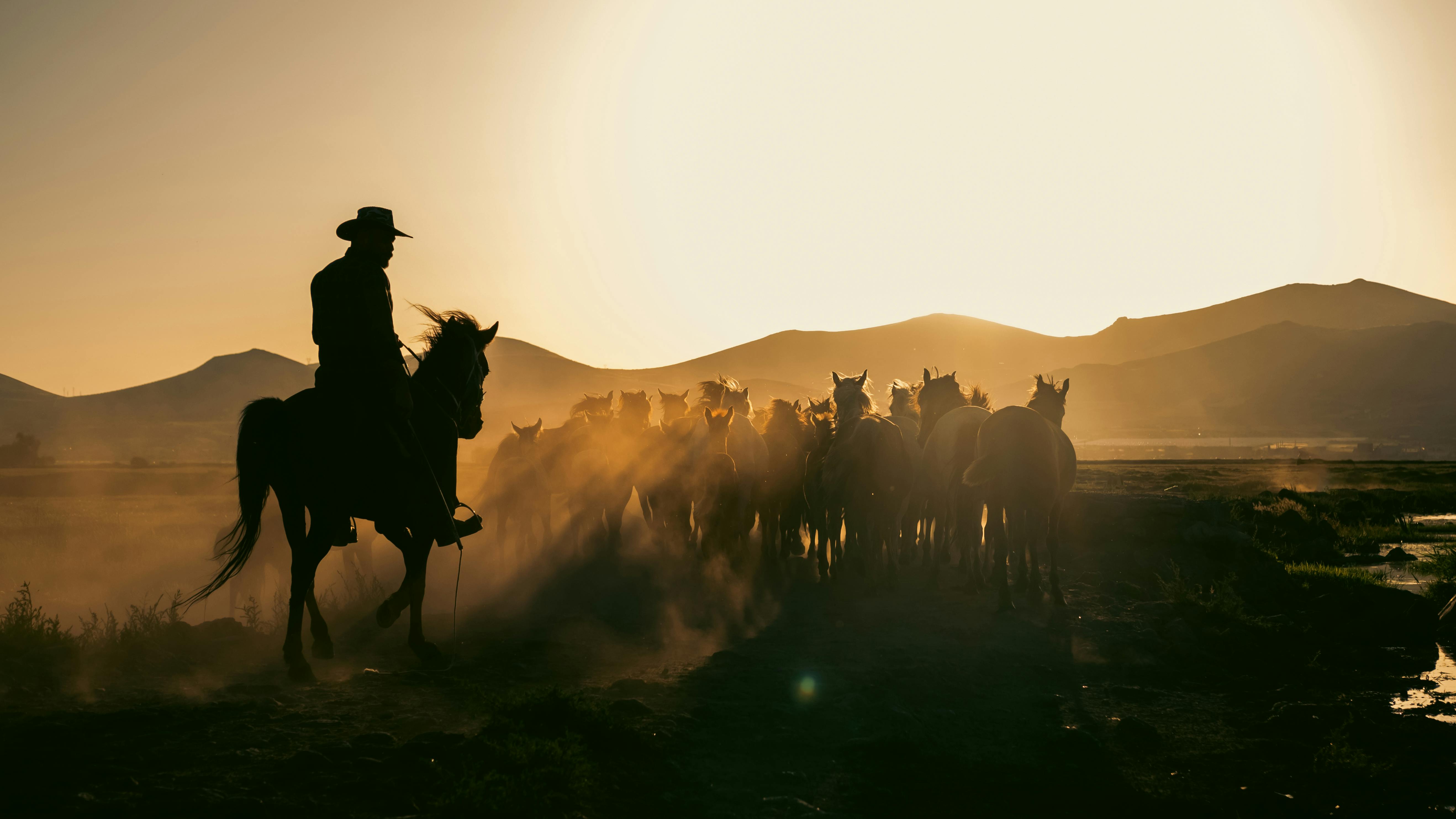 Türkiye’s population prefers Western lifestyle, survey shows — Photo by Cemrecan Yurtman on Pexels