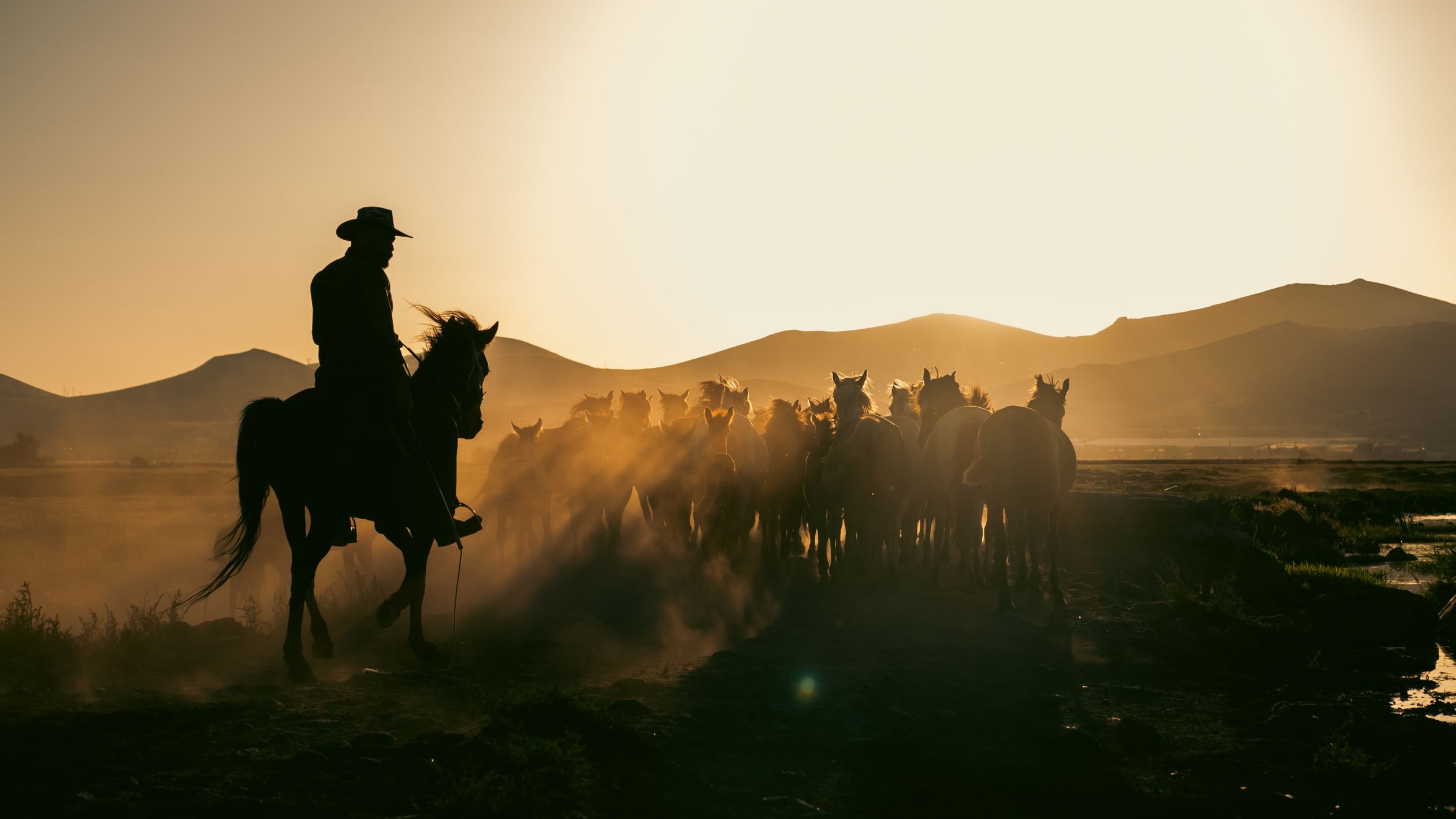 Cowboy Riding Turkey A cowboy riding horses in the desert at sunset · Free Stock Photo