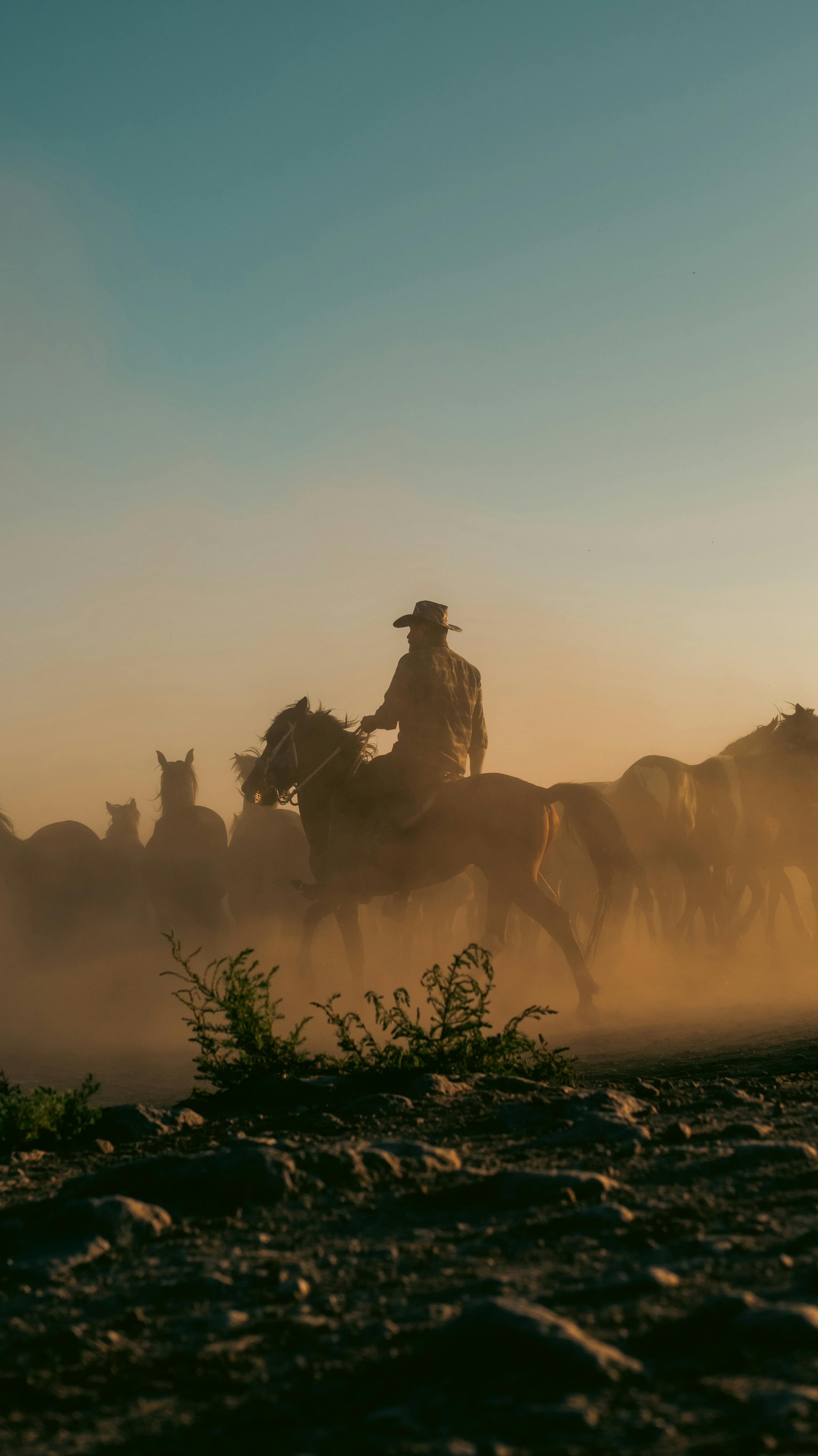 a cowboy rides his horse through the dust