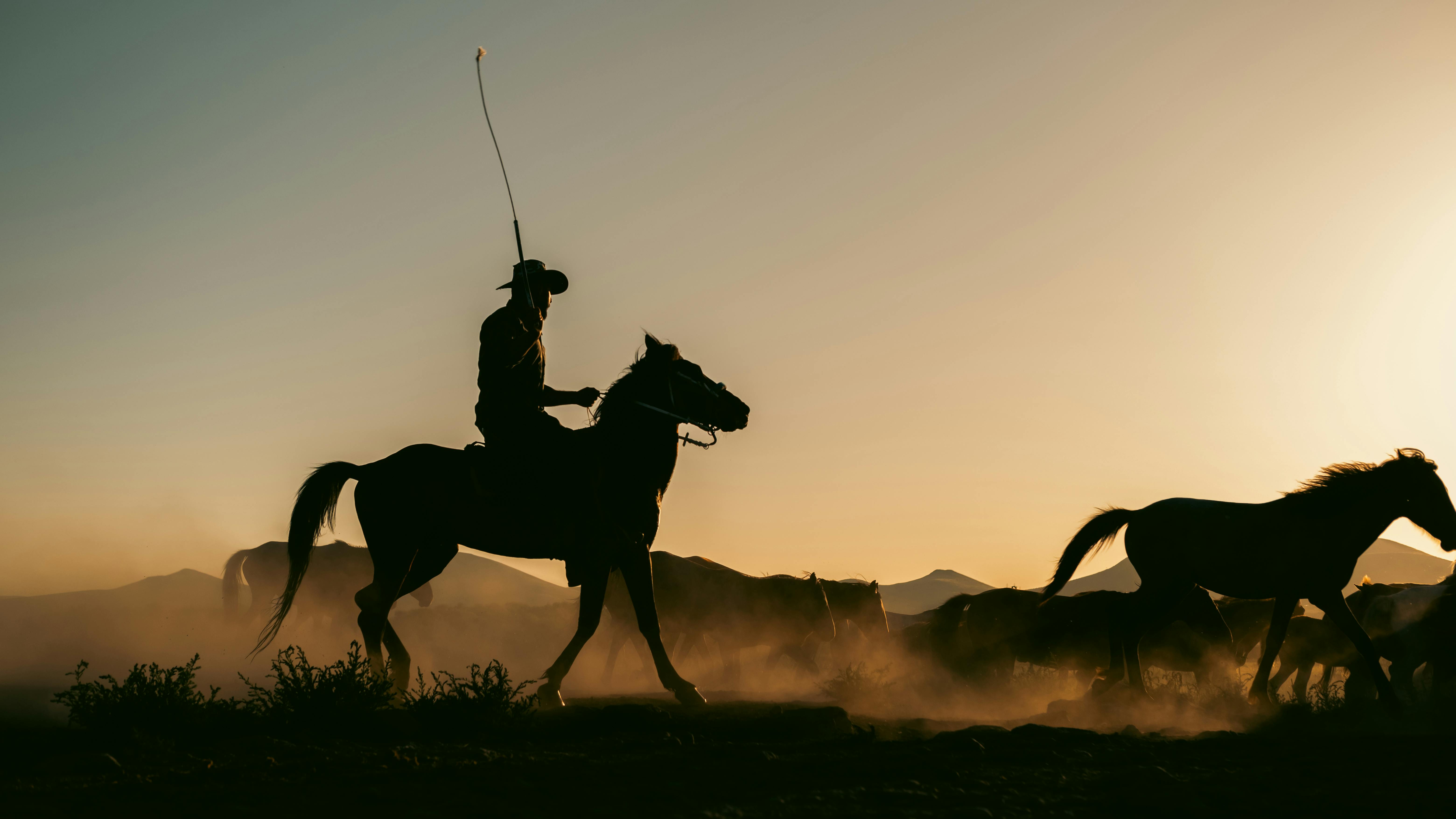 Accident grav în județul Satu Mare – Bărbat pe triciclu lovit de o mașină