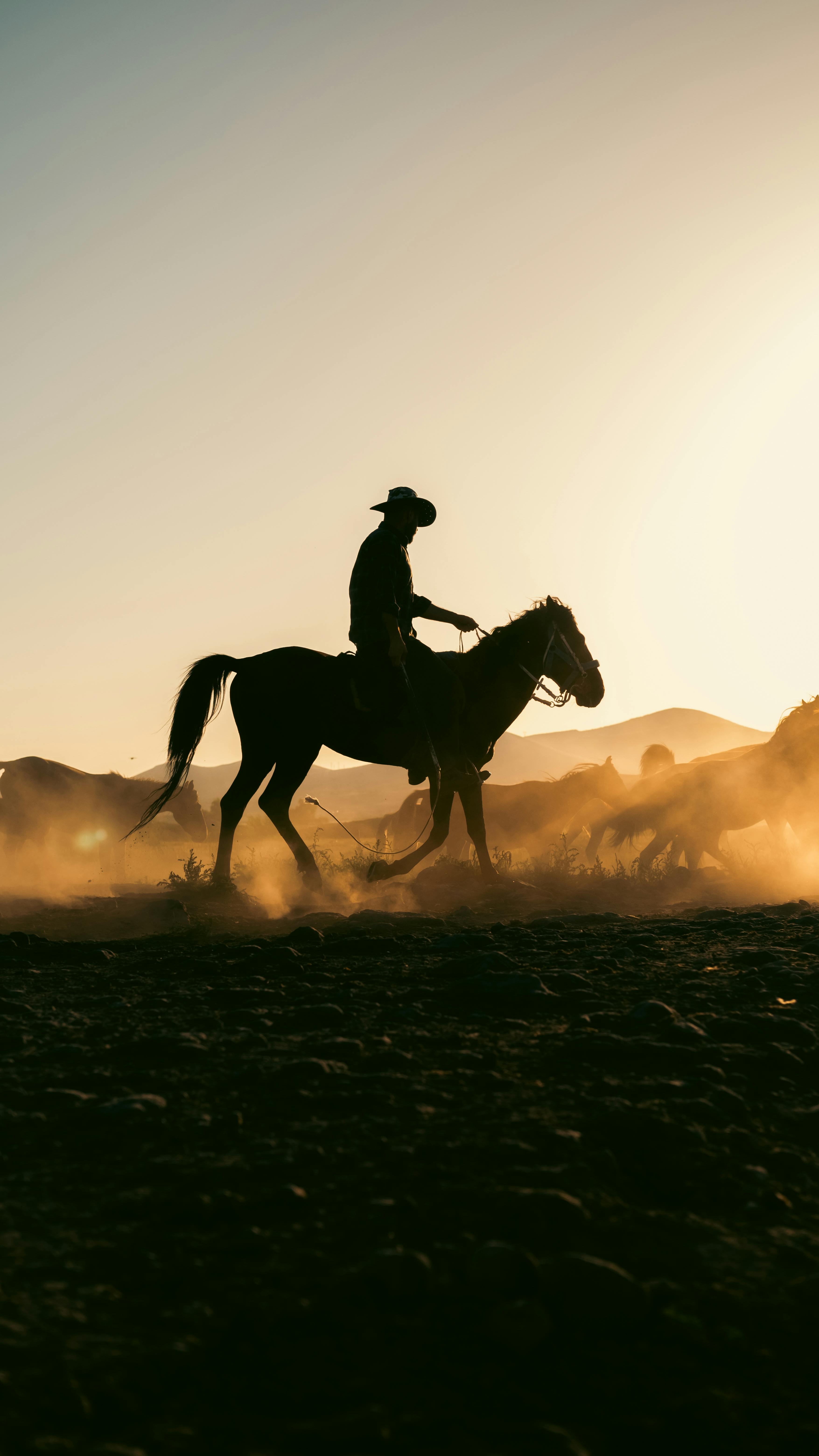 Cowboy Riding a Horse at Sunset