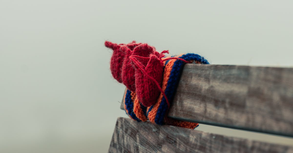 How to prune roses in winter Australia