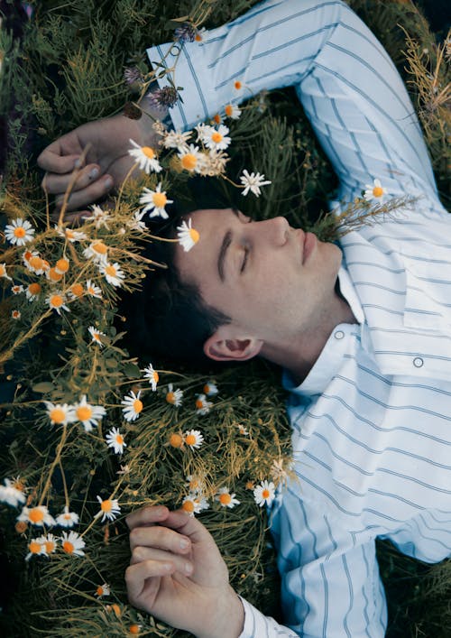 카모마일 꽃 옆에 잔디에 누워있는 남자