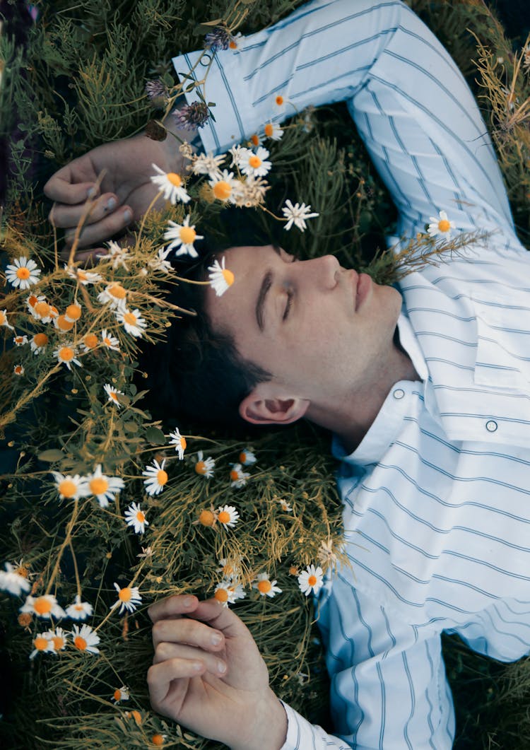 Man Lying On Grass Beside Chamomile Flowers