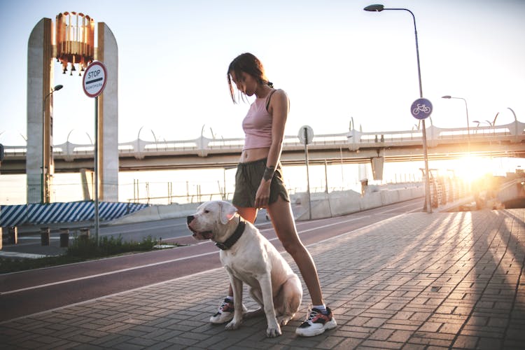 Sexy Woman Wearing Crop Shirt And Shorts Standing On Sidewalk With A Dog