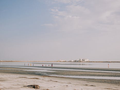 Tranquil beach landscape with people walking along the shore under a clear sky.