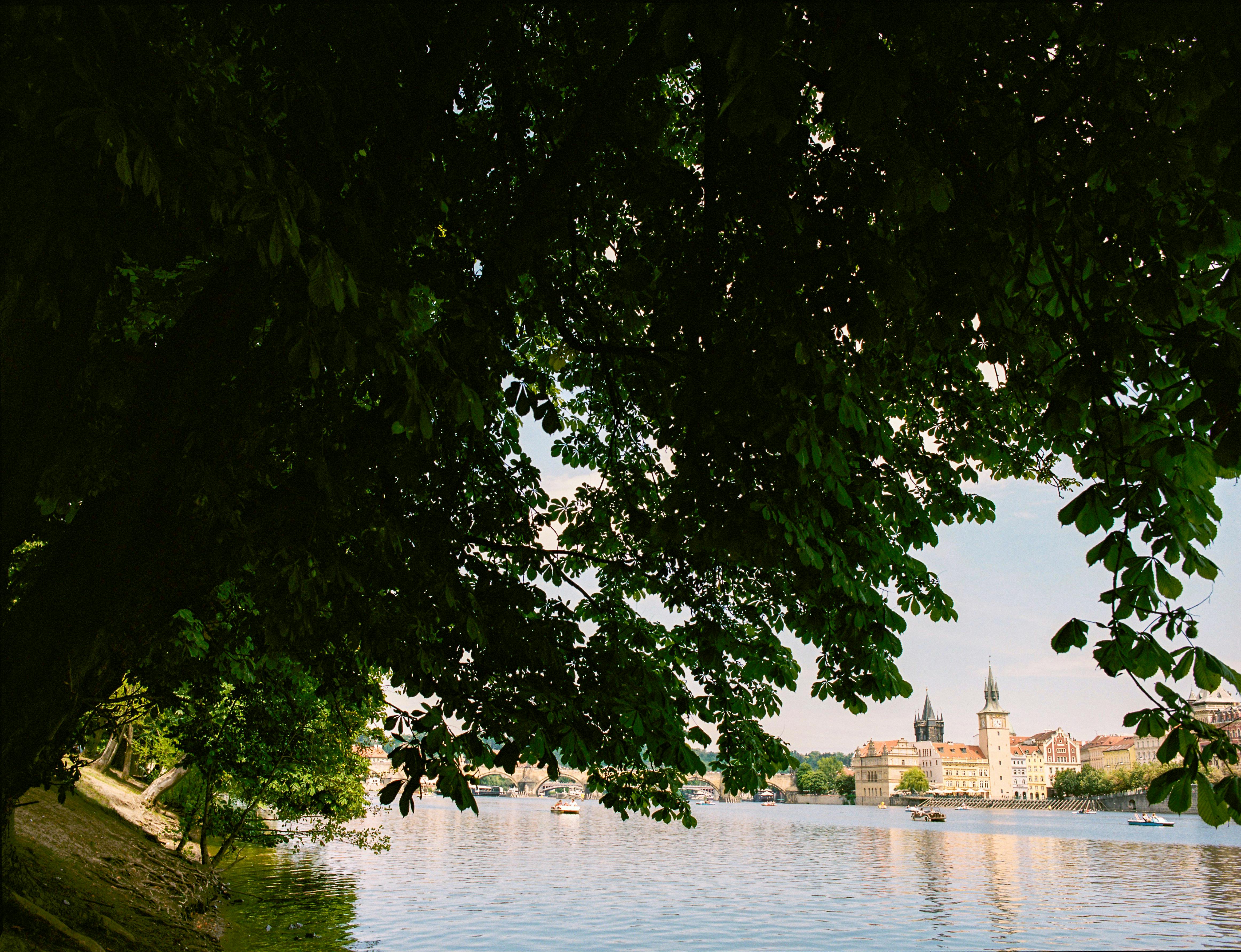 Explore the Vyšehrad Castle