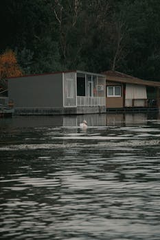 Serene lakeside view featuring a floating house in Hungary, perfect for peaceful wallpapers.