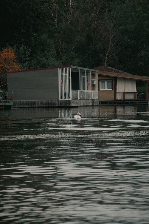 Free Serene lakeside view featuring a floating house in Hungary, perfect for peaceful wallpapers. Stock Photo