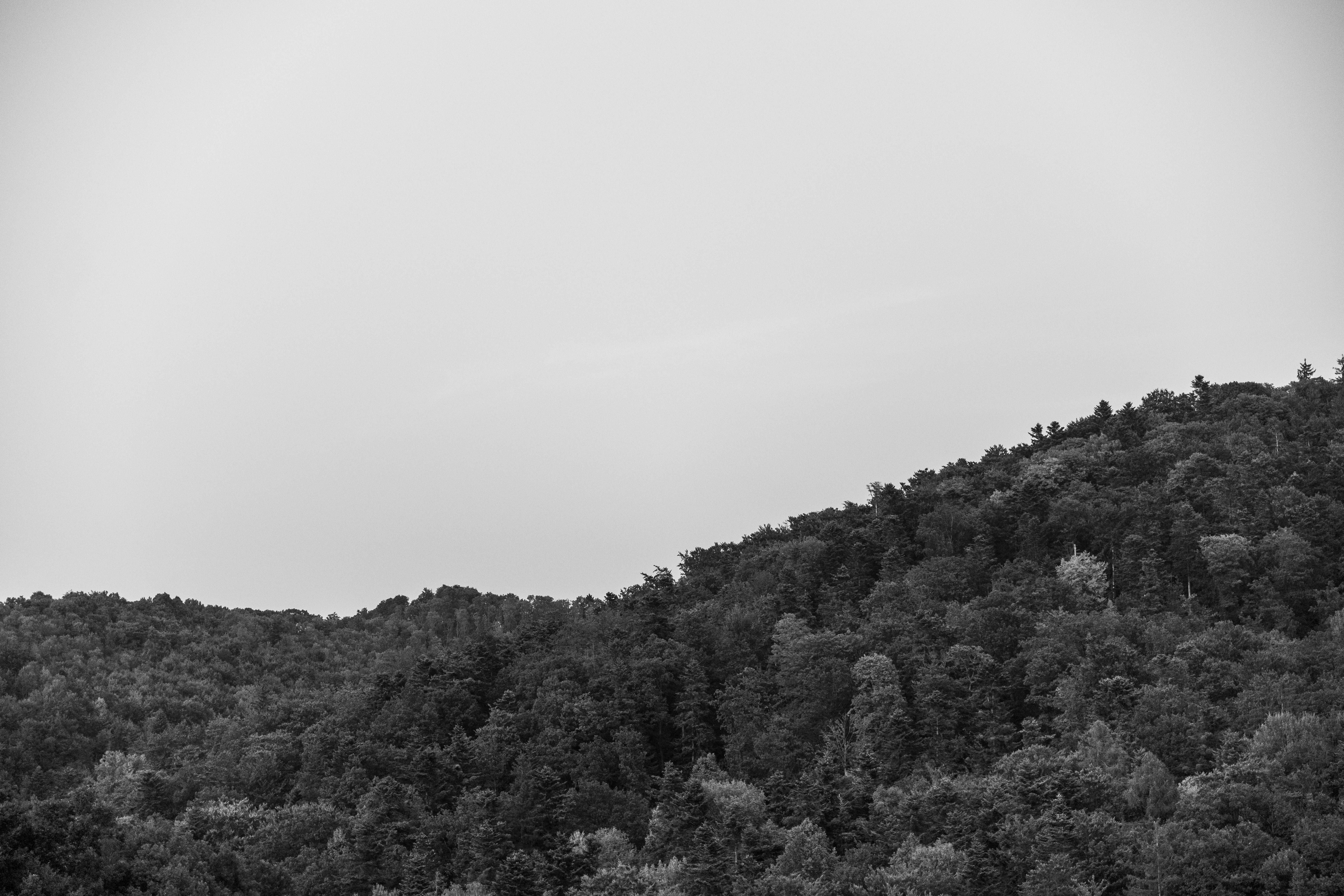 black and white photo of a mountain range