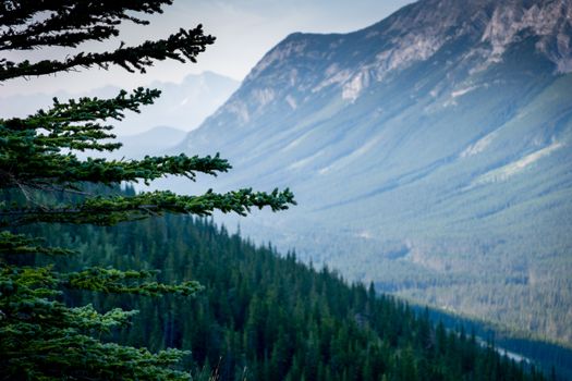 Breathtaking view of evergreen trees and rugged mountains near Calgary, AB, Canada.