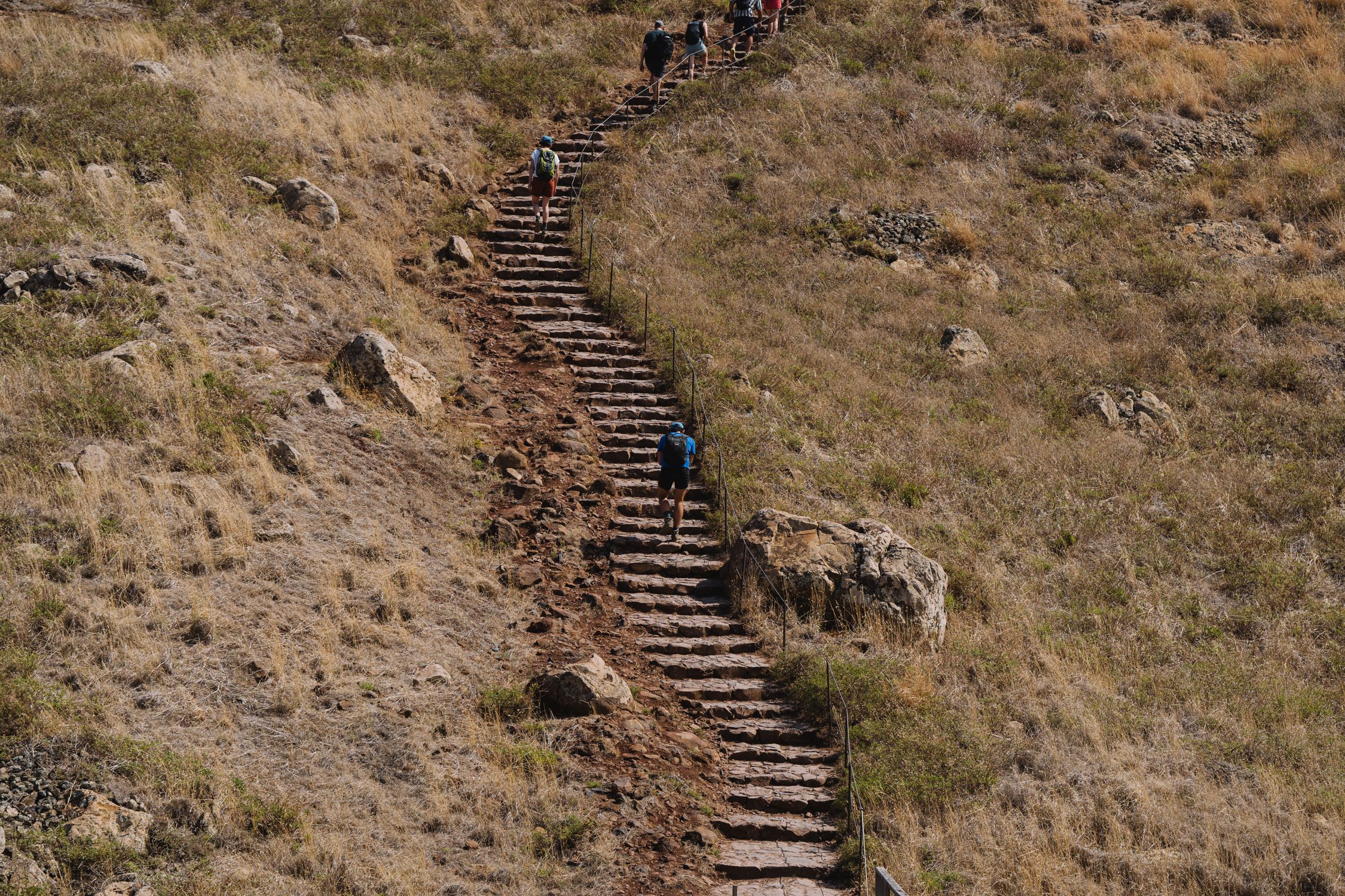 A group of people walking up a steep hill · Free Stock Photo