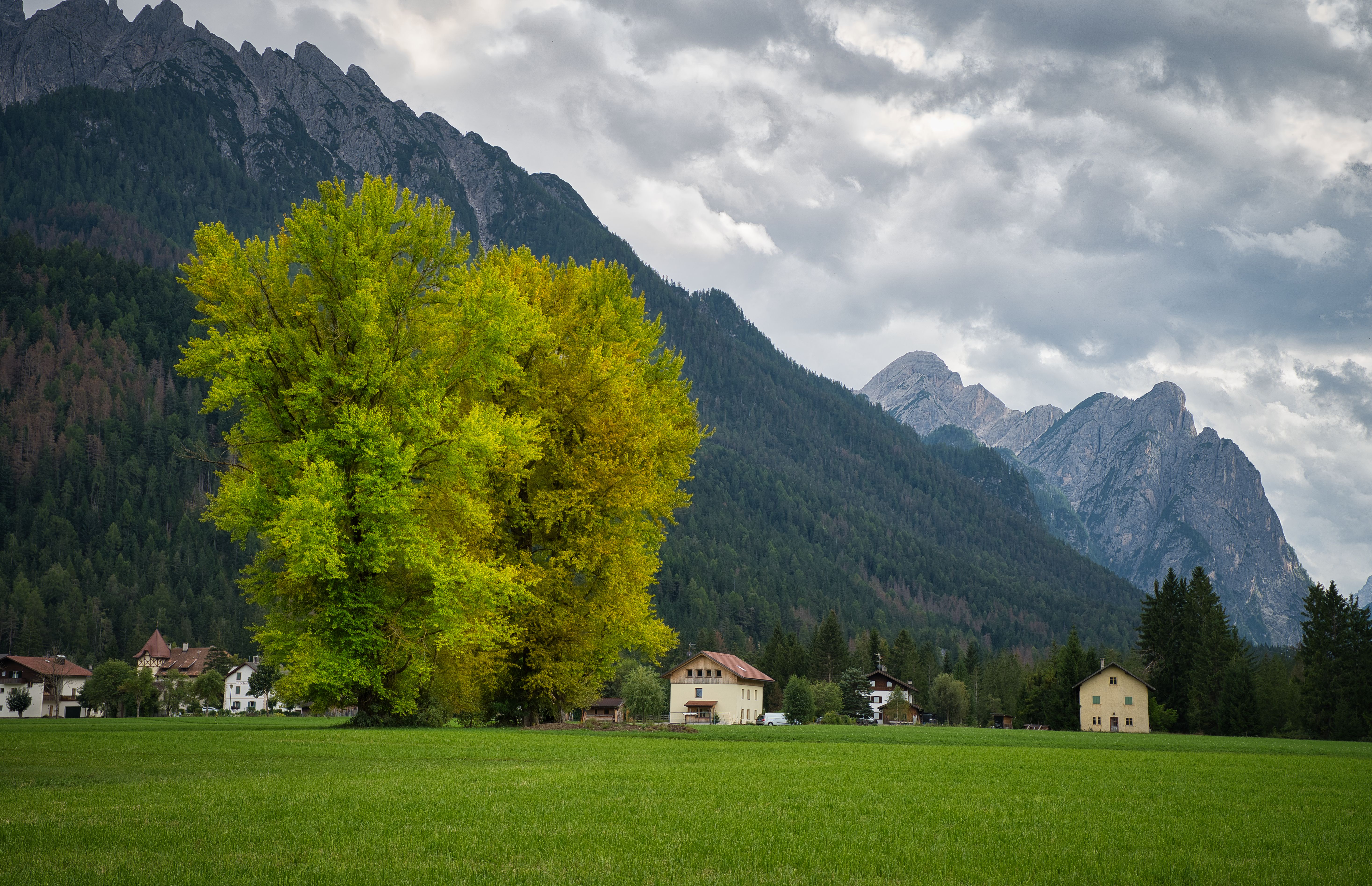 Foto: Joerg Hartmann / Pexels