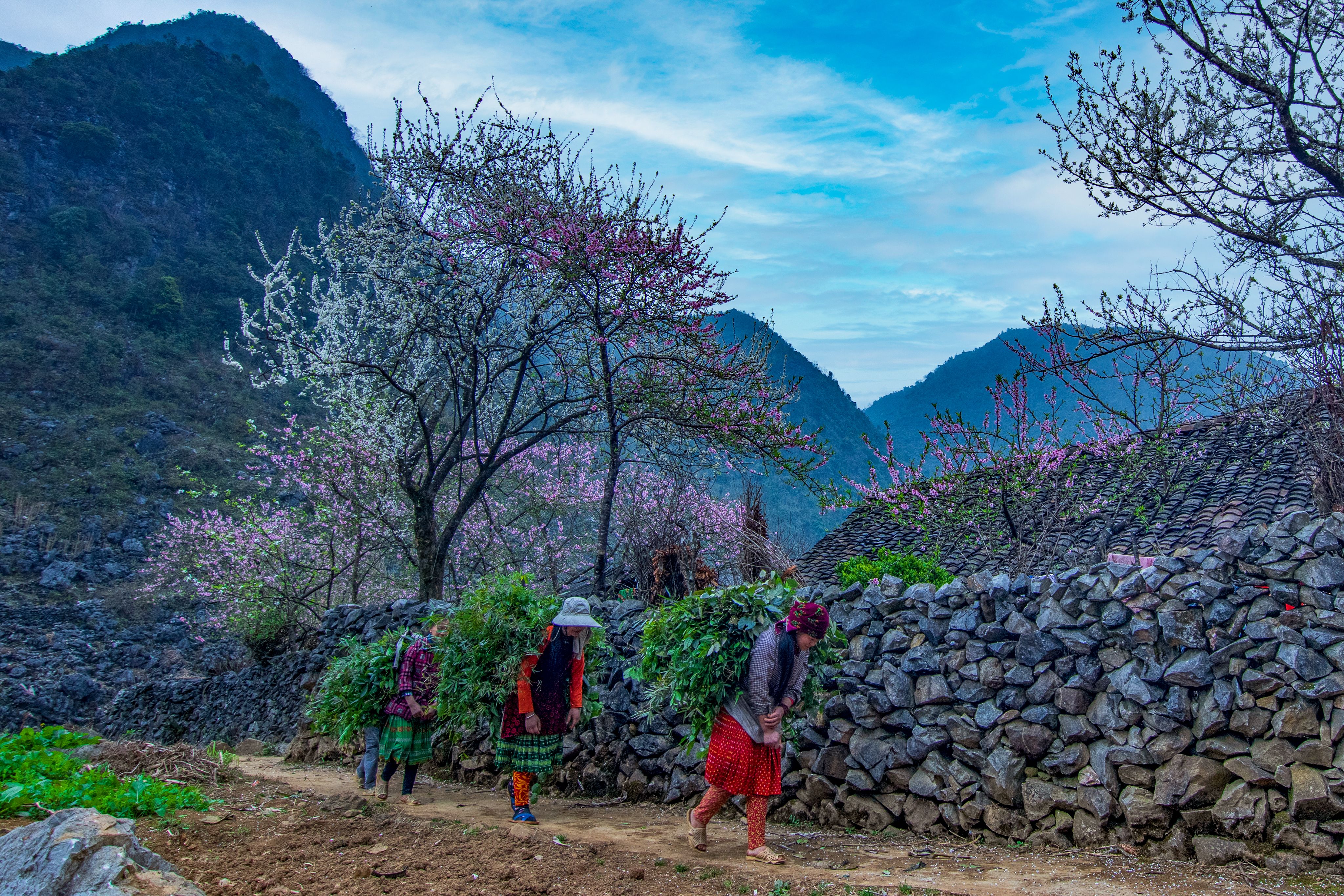 Villagers in traditional dress processing through a stone-walled Segovian village square