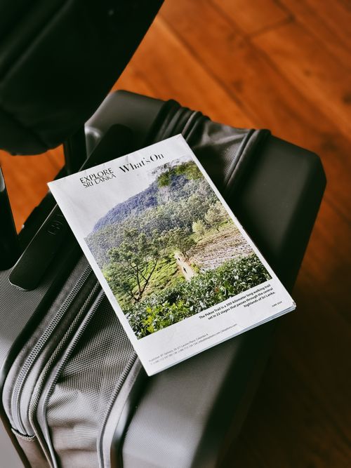 Free Srilanka tourism advertising in modern-vintage way  Stock Photo