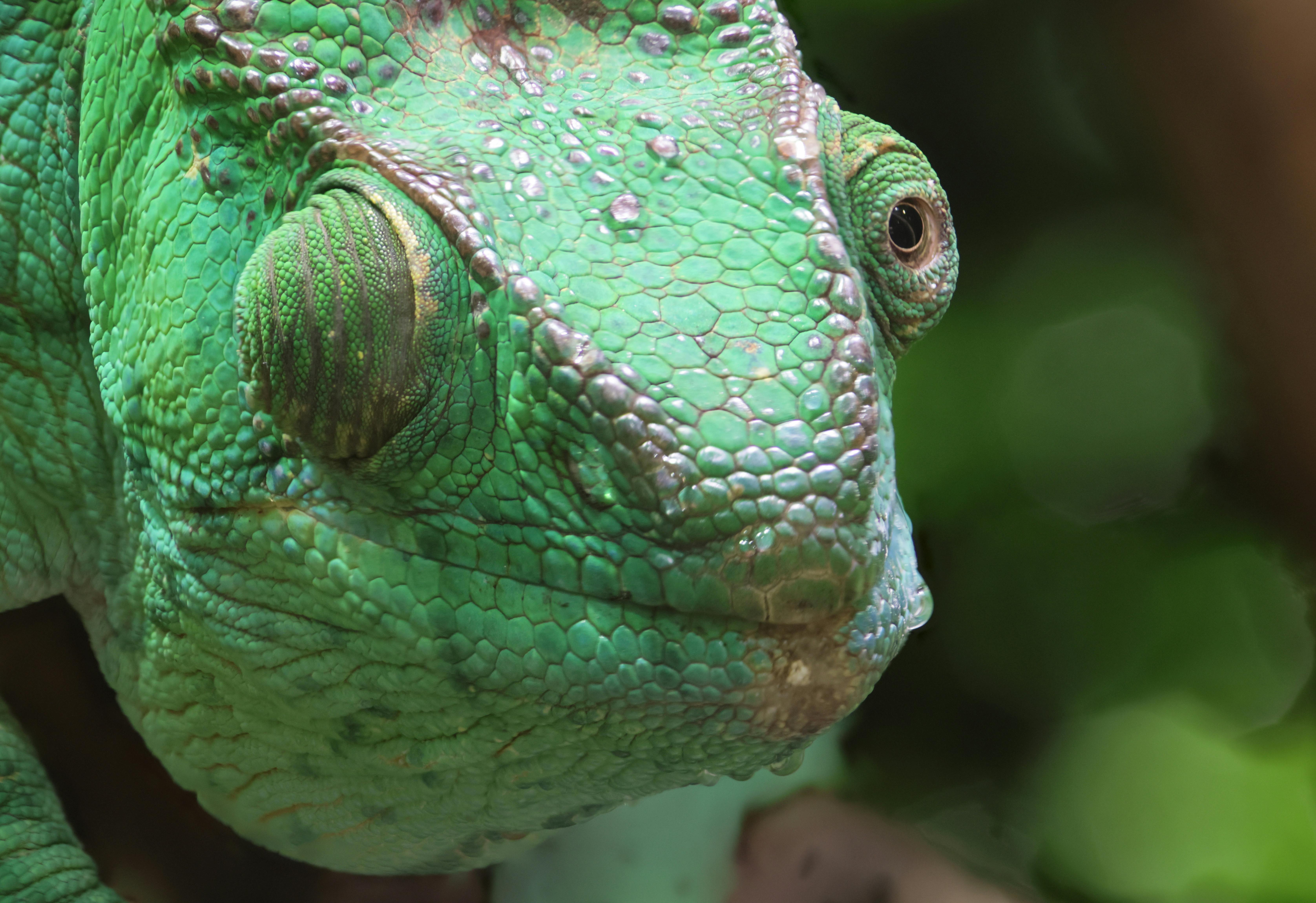 Exploring the Versatility of ‍the Vitamix ‌Blending System