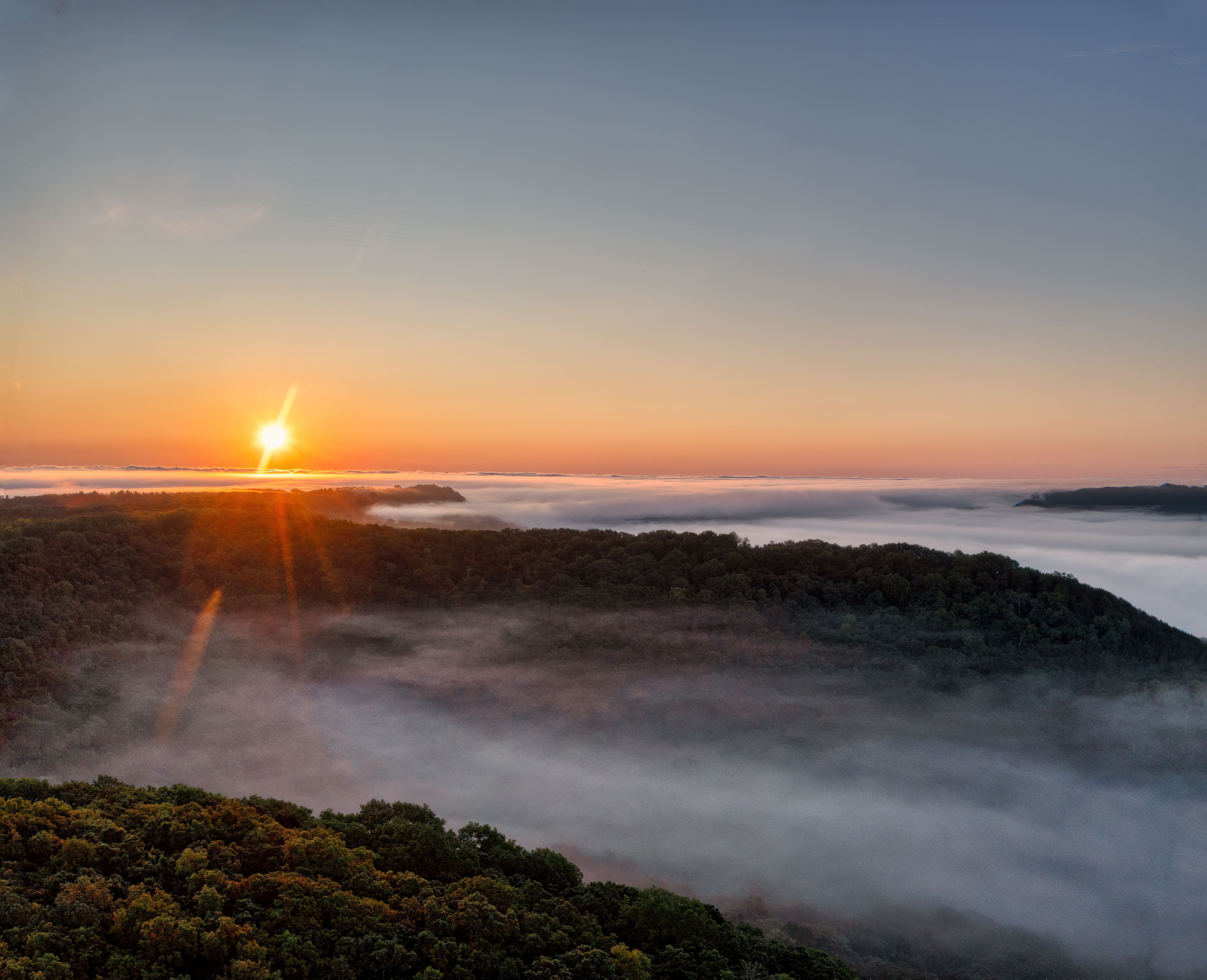 The sun rises over a foggy landscape with trees · Free Stock Photo