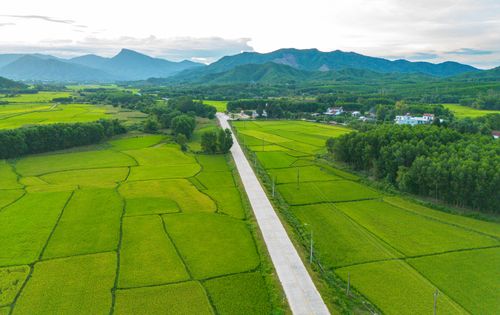 Free Stunning aerial view of vibrant green fields and mountains in Nông Sơn District, Vietnam. Stock Photo
