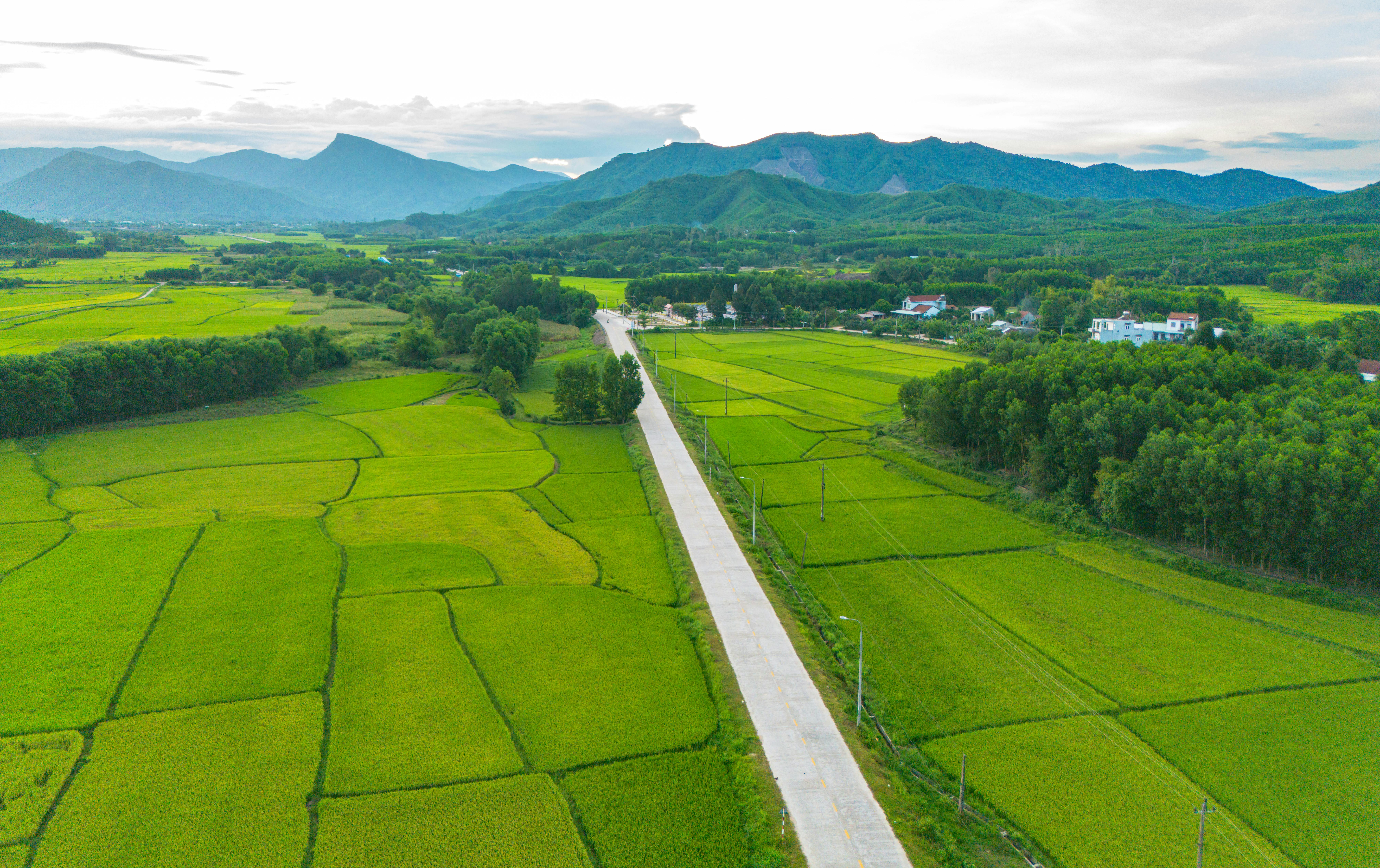 Miễn phí Ảnh lưu trữ miễn phí về ban ngày, canh tác bền vững, cây xanh Ảnh lưu trữ