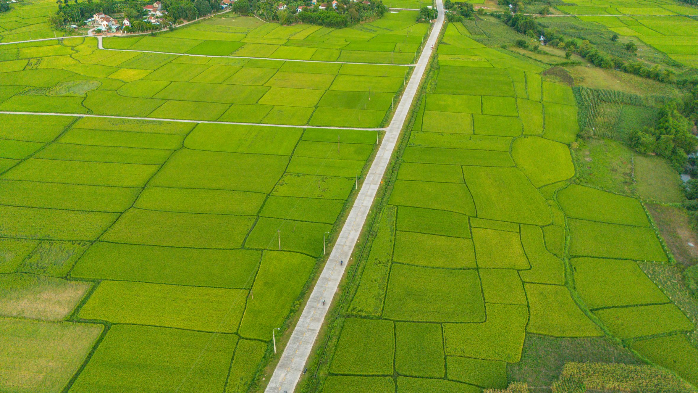 An aerial view of vibrant green rice fields and a rural road in Nông Sơn District, Quảng Nam, Vietnam.