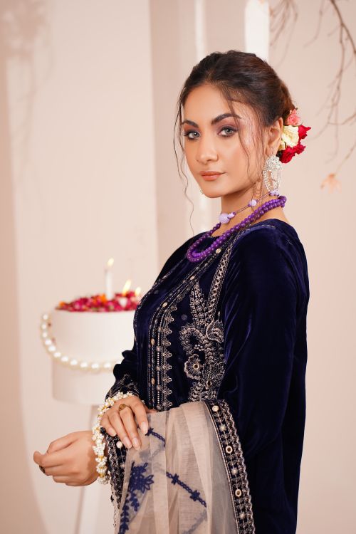 Free A beautiful woman in a velvet dress with intricate embroidery, posing elegantly indoors. Stock Photo