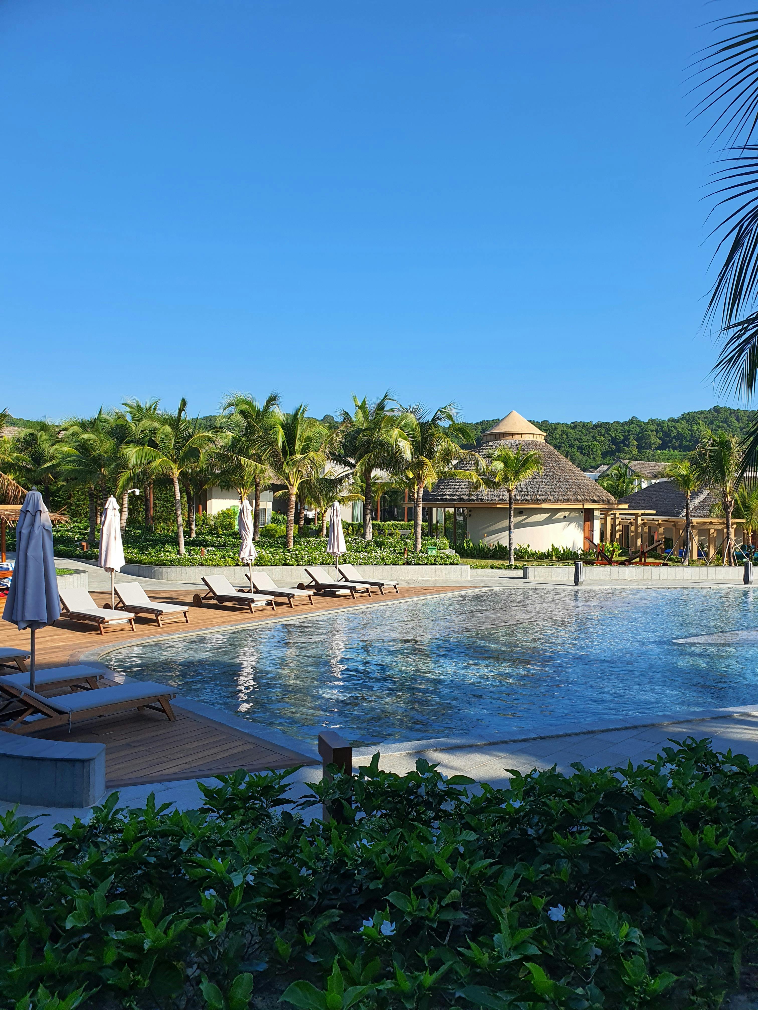 the pool at the resort is surrounded by palm trees