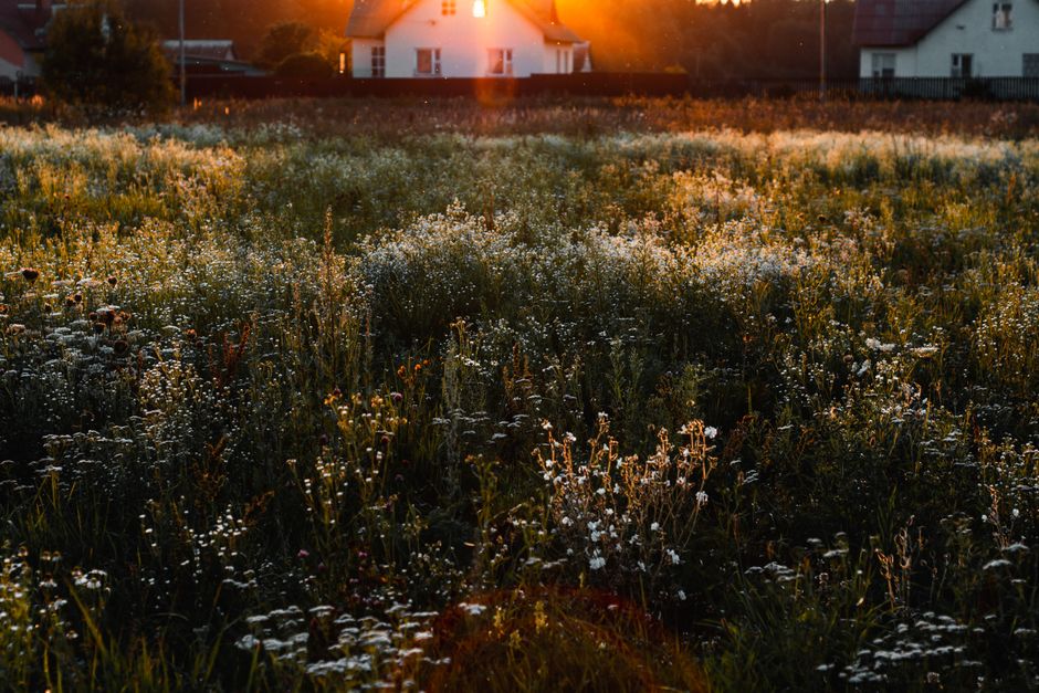 pexels photo 2781757 Sustainable Shipping: Eco Container House Plans Unpacked Explore eco cargo container house plans for sustainable, cost-efficient living. Discover design tips, benefits, and customization options. eco container home at sunset - eco cargo container house plans
