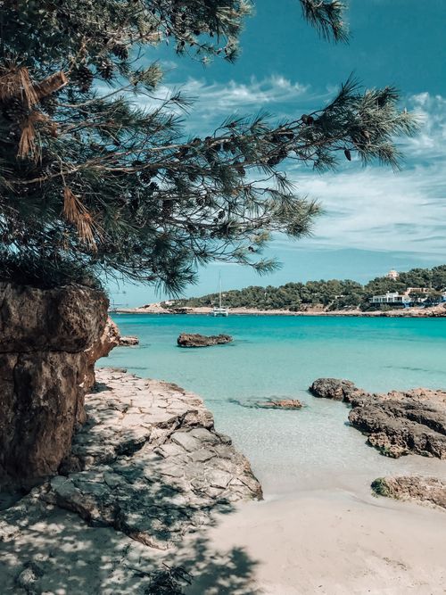 Free Tranquil tropical beach scene with turquoise waters and lush trees. Perfect for vacation and travel themes. Stock Photo
