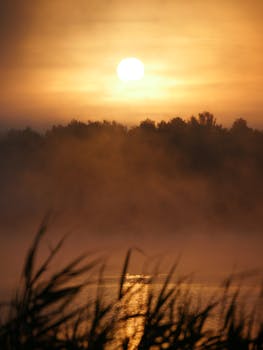 Captivating sunset view over a misty lake, casting golden hues in a tranquil landscape setting.