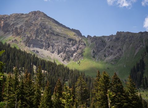 Explore the stunning Rocky Mountains in summer with green meadows and evergreen forests.