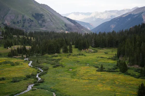The Needle Creek valley descending toward Needleton
