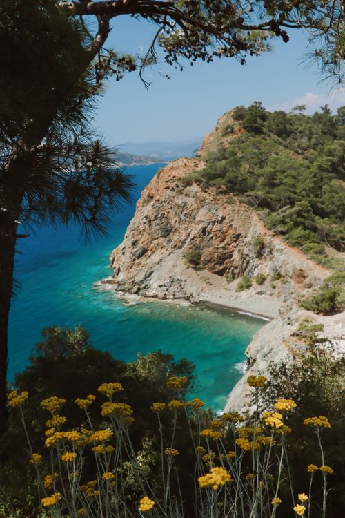 Free Beautiful tropical cliffside with turquoise waters and vibrant yellow wildflowers on a sunny day. Stock Photo