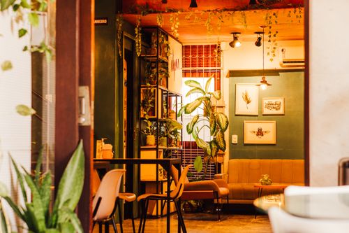 Free A modern indoor lounge showcasing contemporary furniture and lush plants creating a cozy atmosphere. Stock Photo
