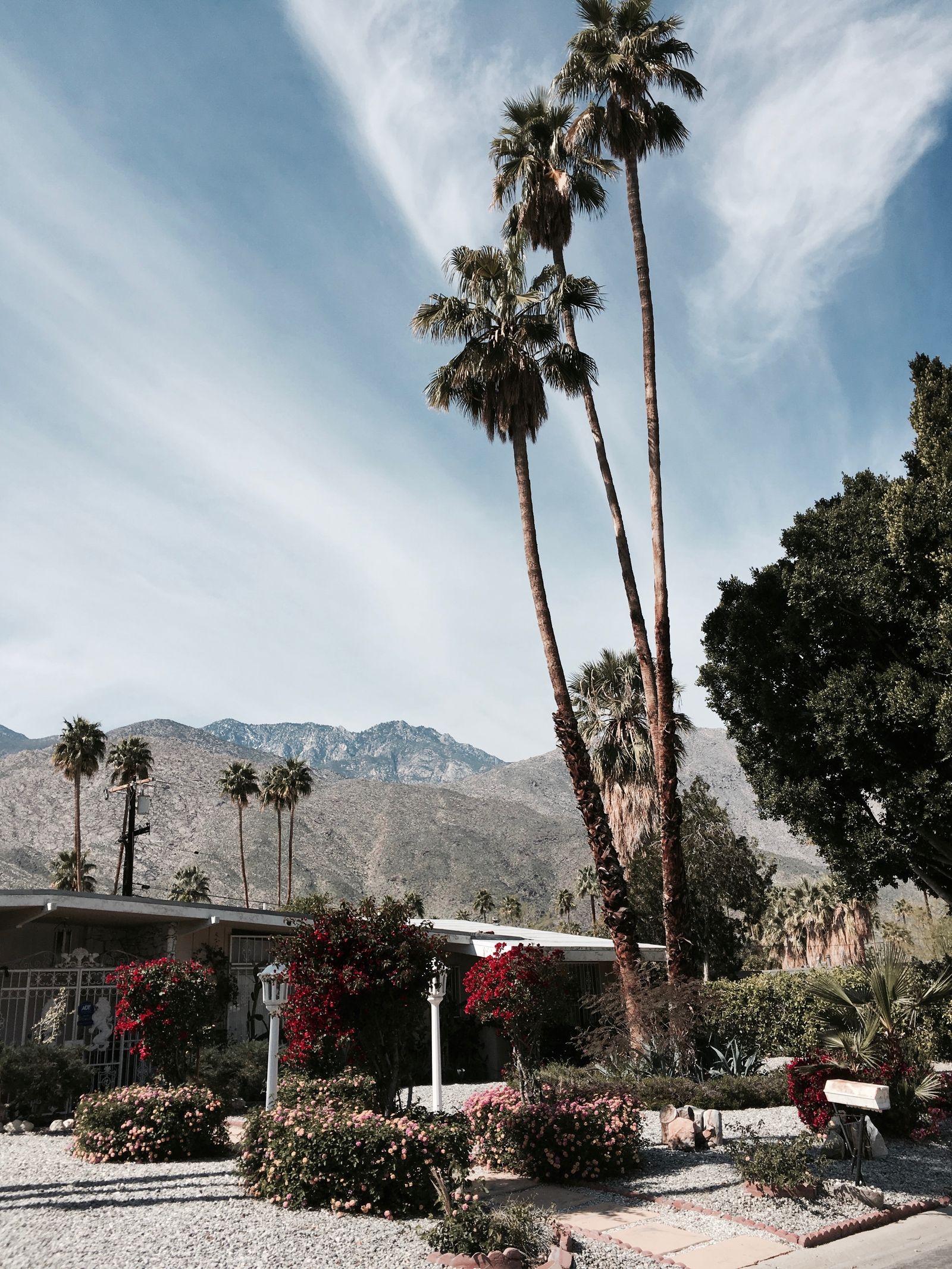 Areas we serve — desert home with palm trees and mountain backdrop