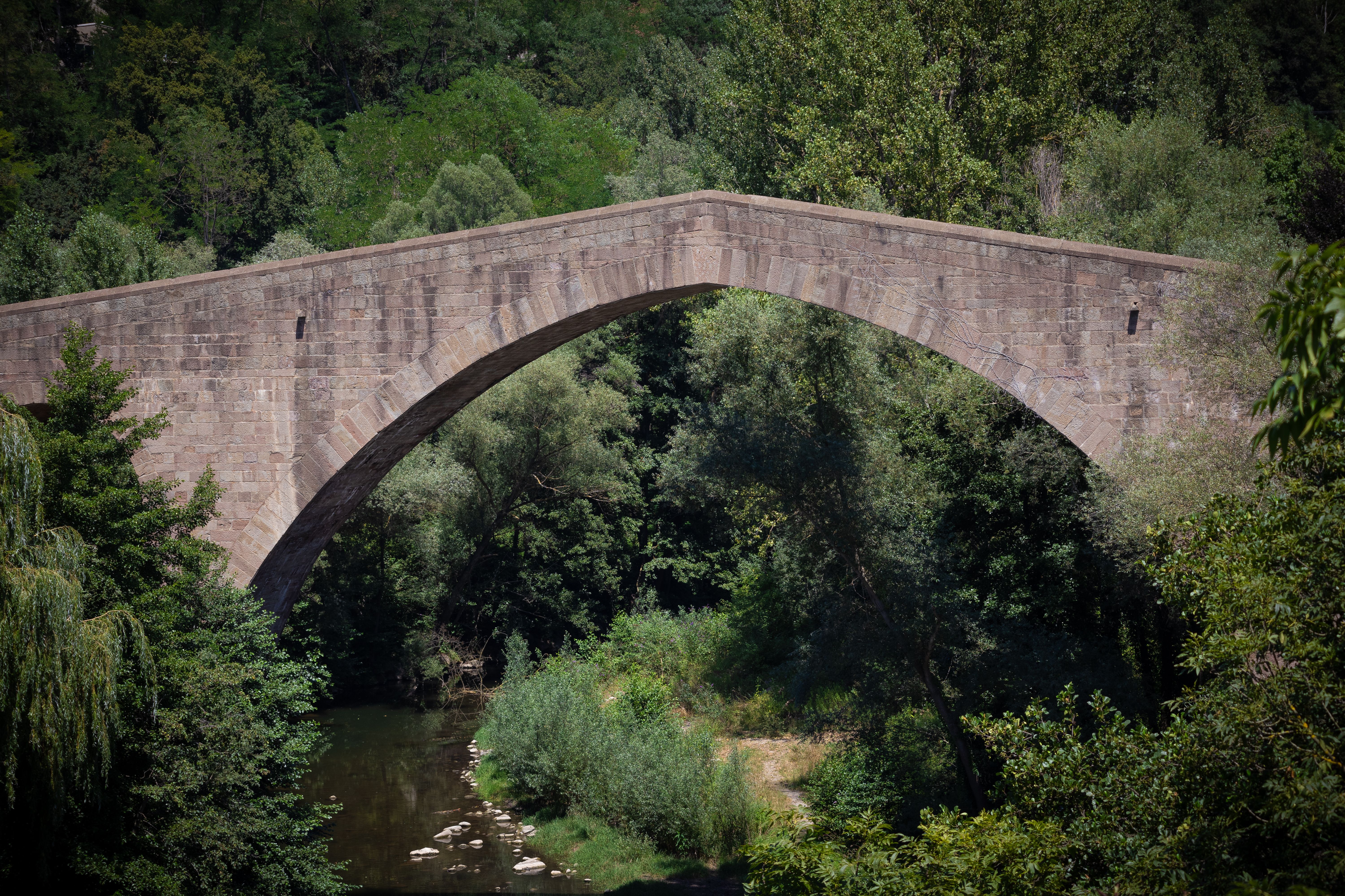 A bridge over a river with trees and a river · Free Stock Photo