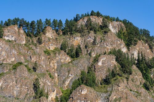 Free Stunning view of a rocky cliff adorned with pine trees under a clear blue summer sky. Stock Photo