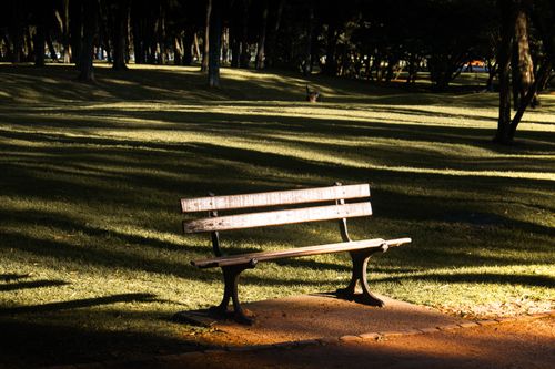 Free A tranquil empty park bench with dramatic lighting and long shadows at dawn. Stock Photo