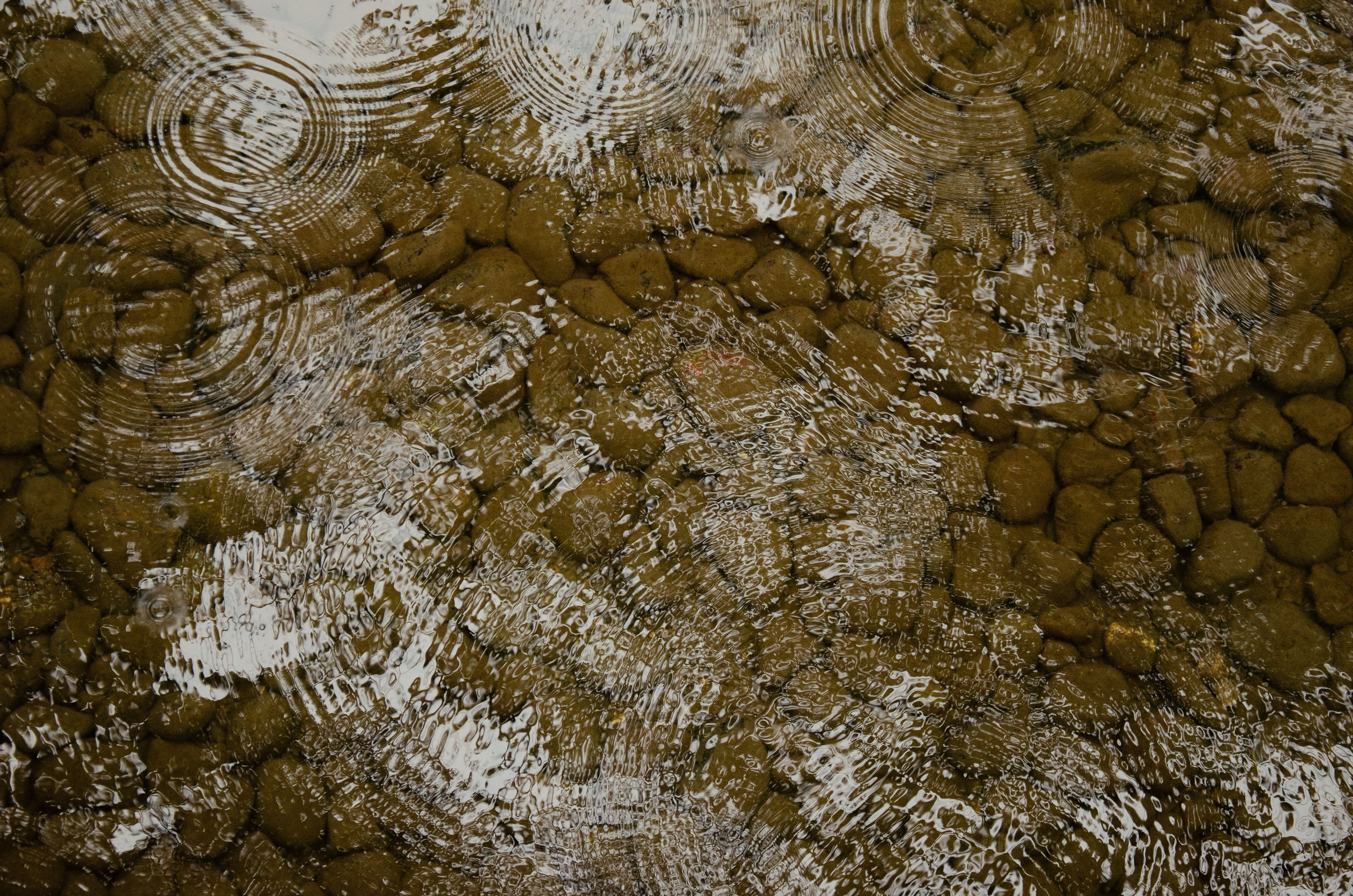 Water ripples on a rock surface with some trees · Free Stock Photo