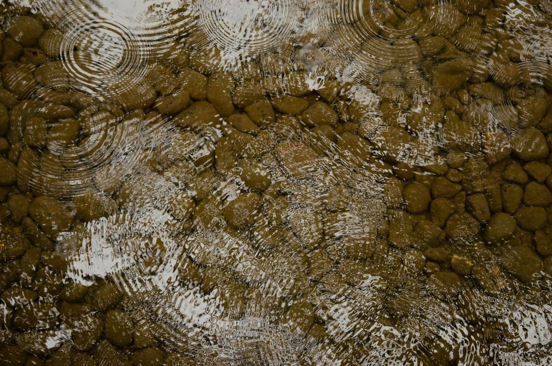 Water ripples on a rock surface with some trees · Free Stock Photo