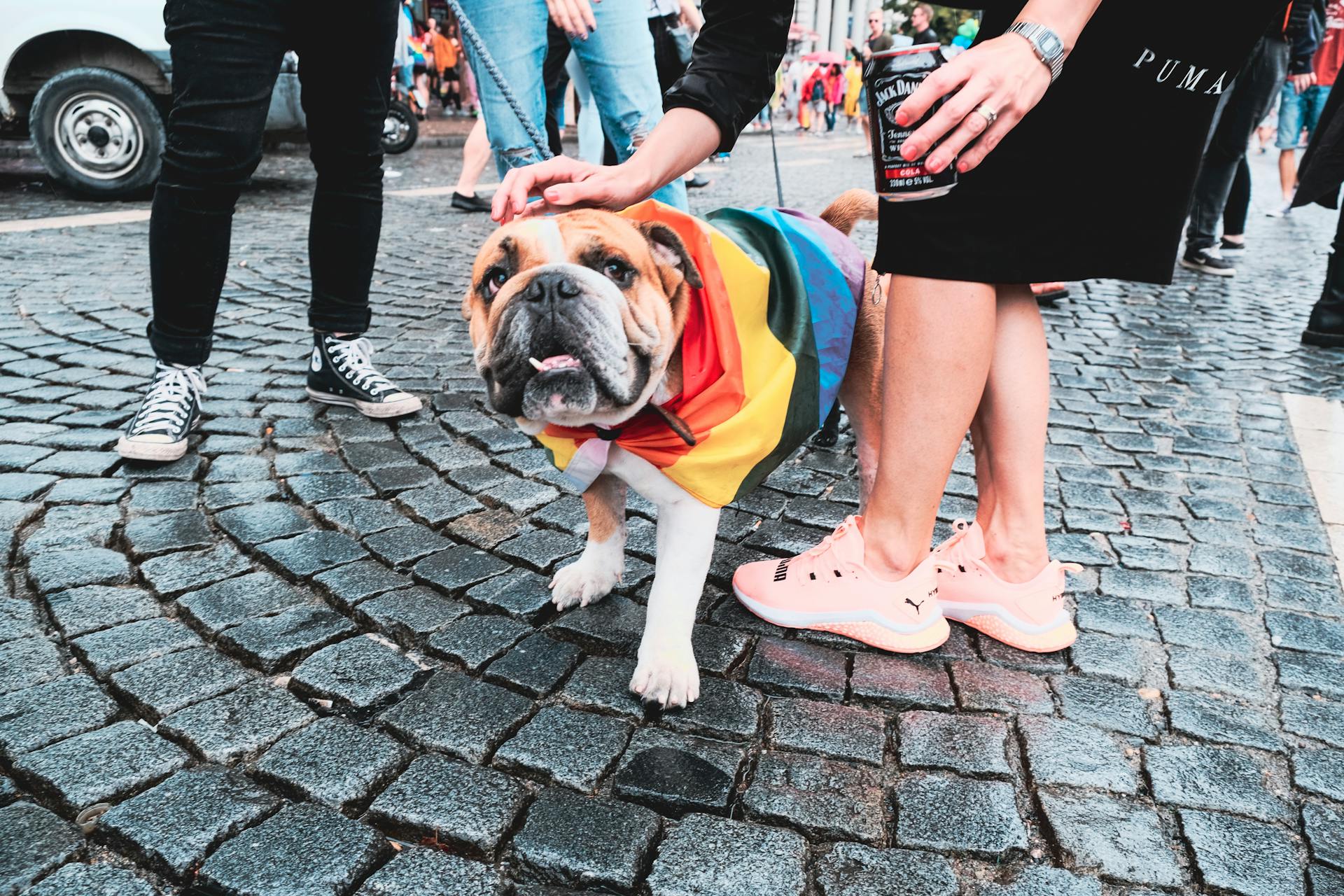 Photo Of Dog Near People 