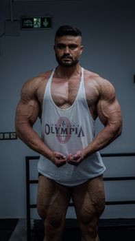 Muscular male bodybuilder posing in a gym, showcasing strength and fitness.
