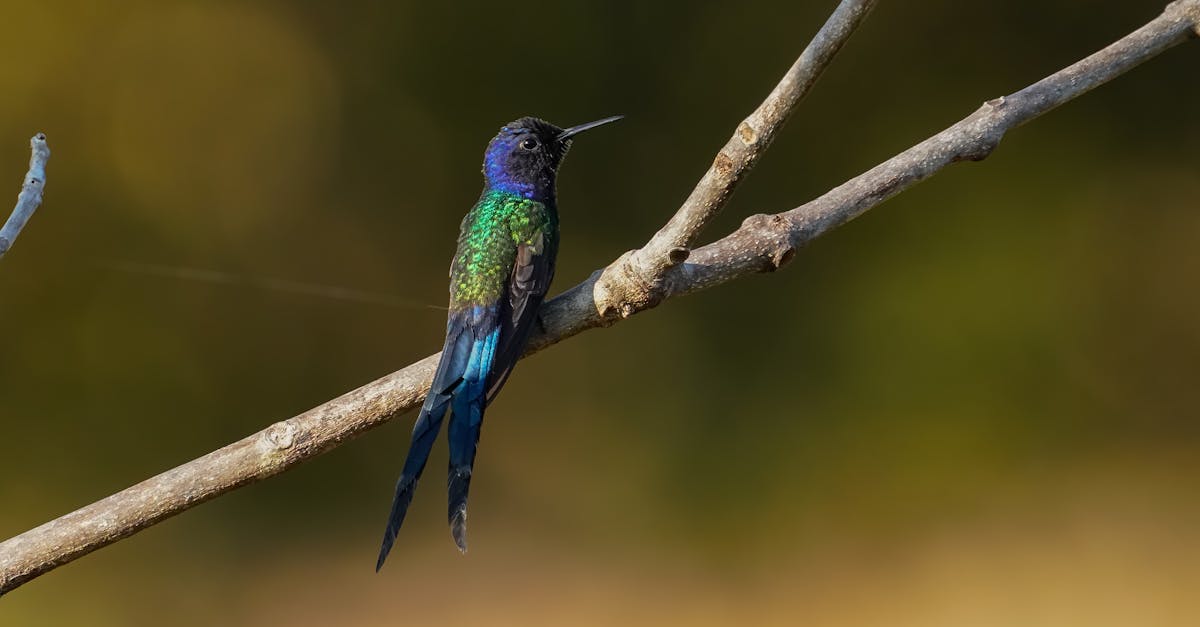 張又俠泄露核機密?中共國防部間接否認引發關注