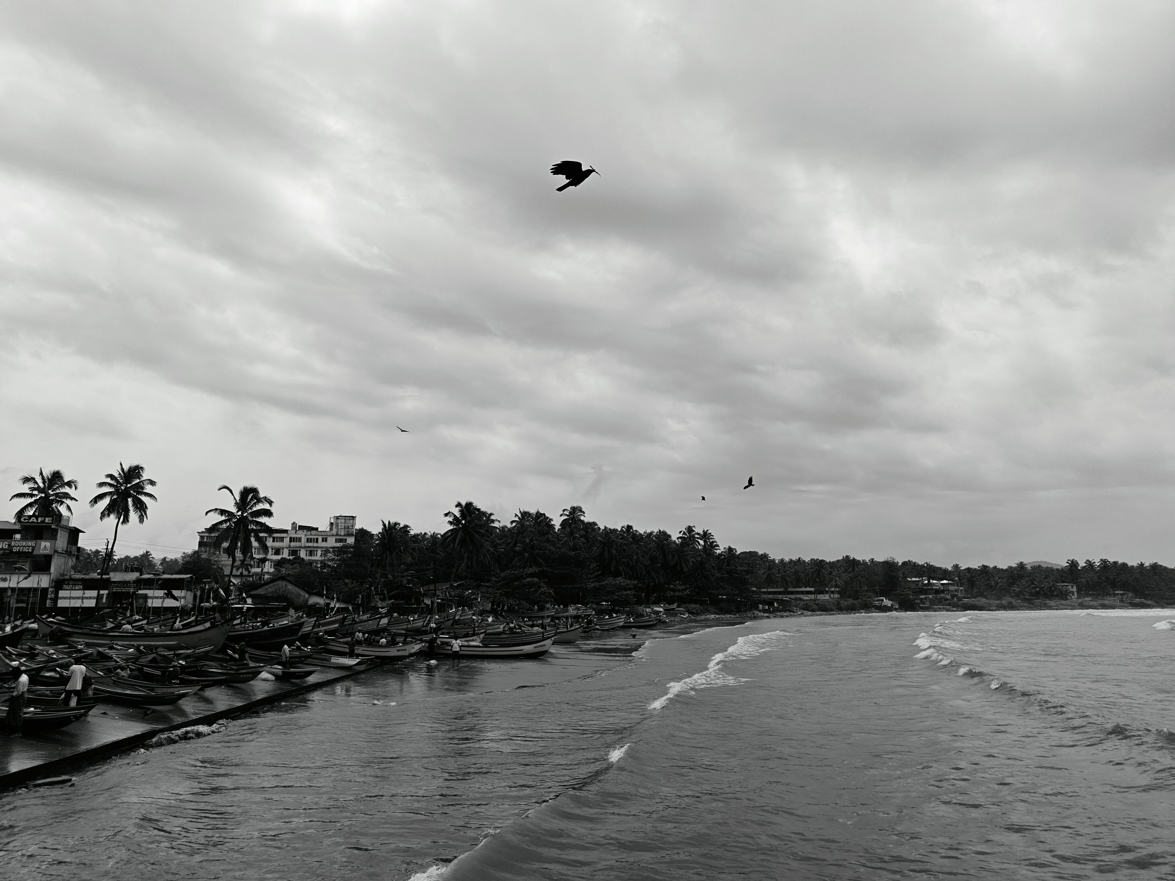 Mukka Beach, Karnataka: Coastal Guide & Best Time to Visit