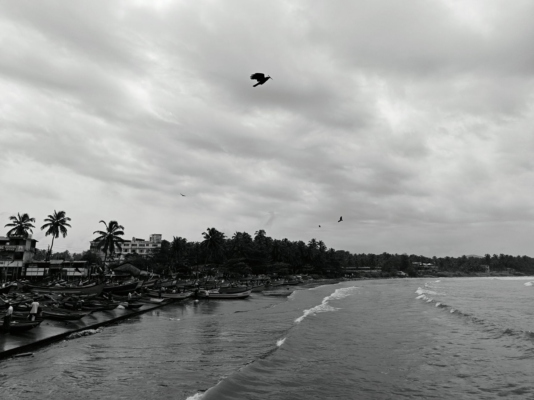 Mukka Beach, Karnataka: Coastal Guide & Best Time to Visit