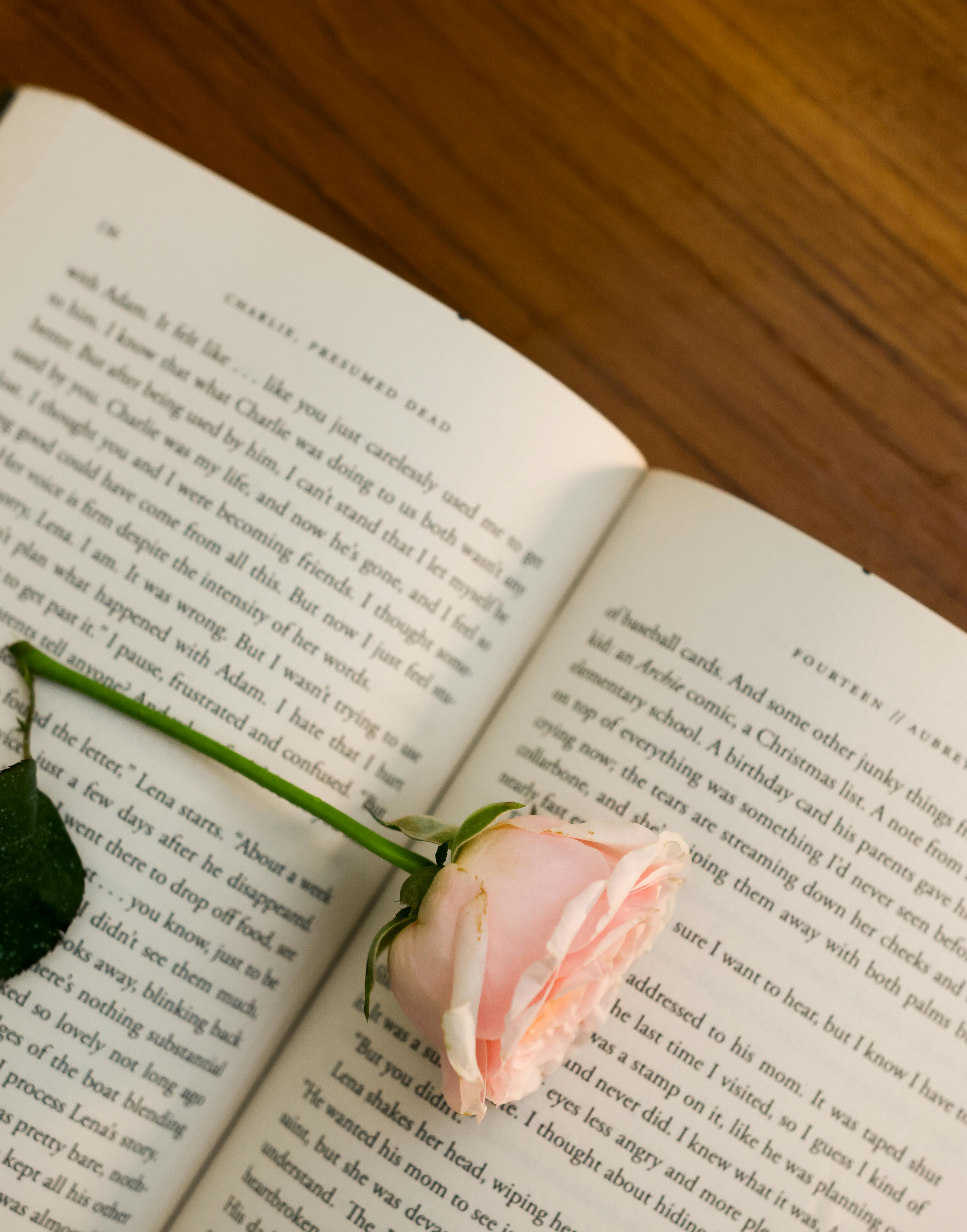 pink rose and book