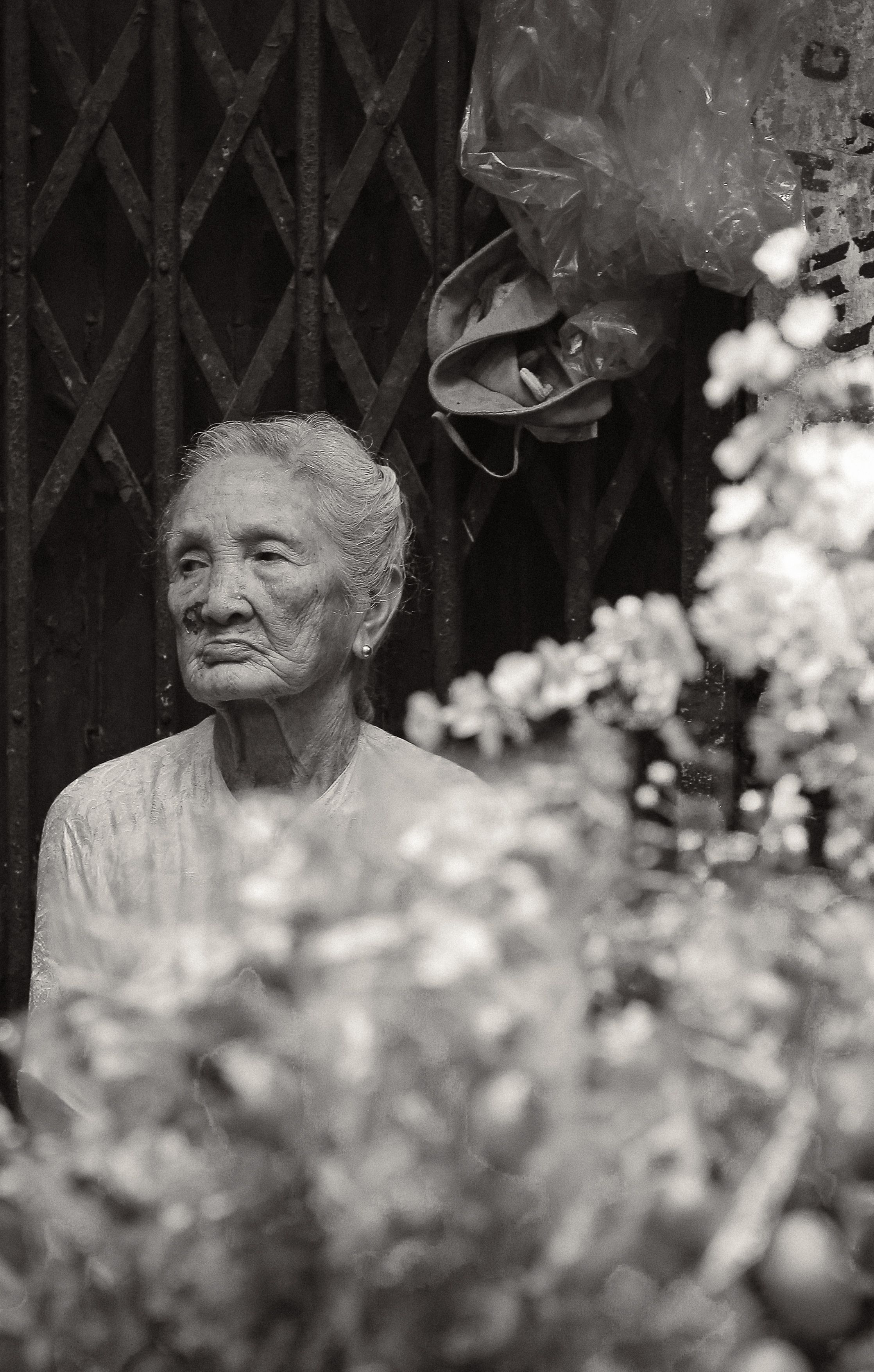 An old woman is sitting in a flower shop · Free Stock Photo