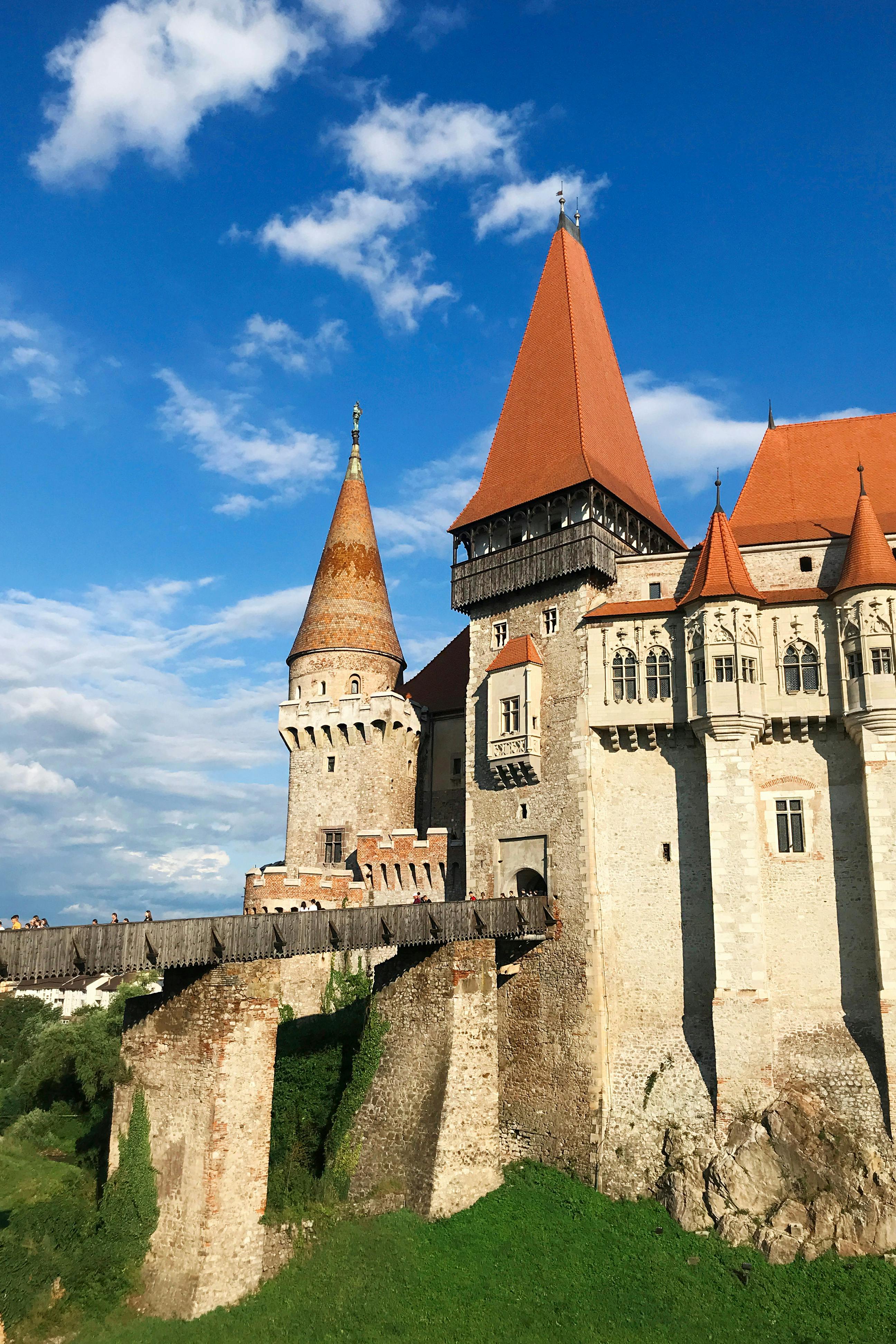 Social gathering and entertainment event